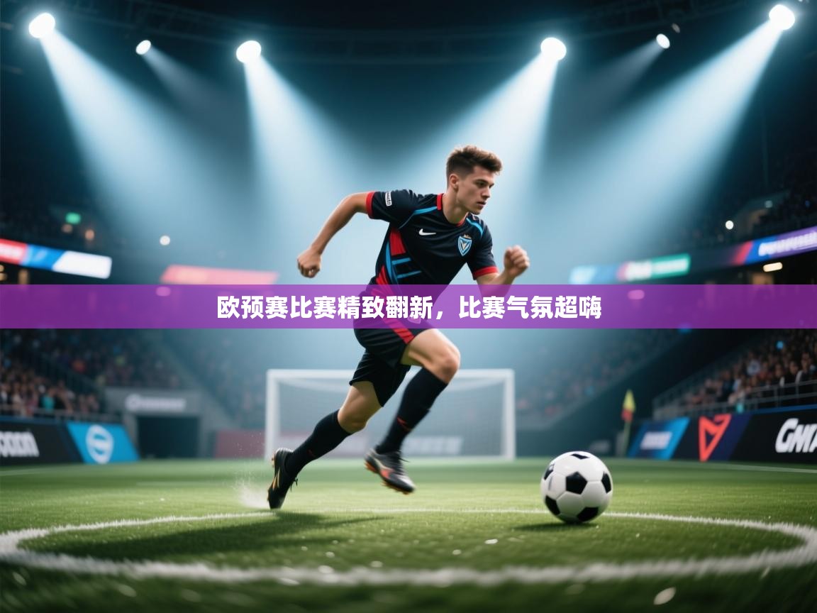 欧预赛比赛精致翻新，比赛气氛超嗨  第2张