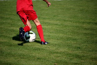 爱游戏入口-体育新闻中心发布体育短视频内容运营新策略，体育短视频存在的问题